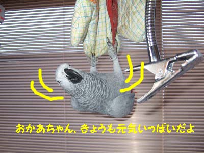 c0133013_19505760.jpg