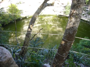e0049015_8384617.jpg