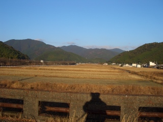 モウソウしたりモヨオしたりしたノネ♪　-年越し遍路行19-_e0008223_1961190.jpg