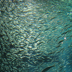 c0024729_22455458.jpg