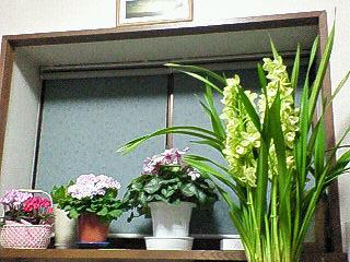 f0161834_23311331.jpg