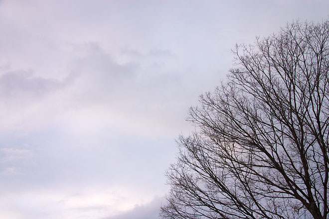 c0067040_22344239.jpg