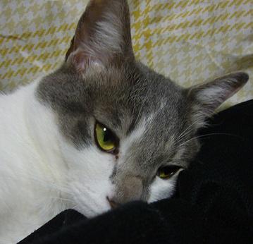 つまらない話です_f0002743_10272312.jpg