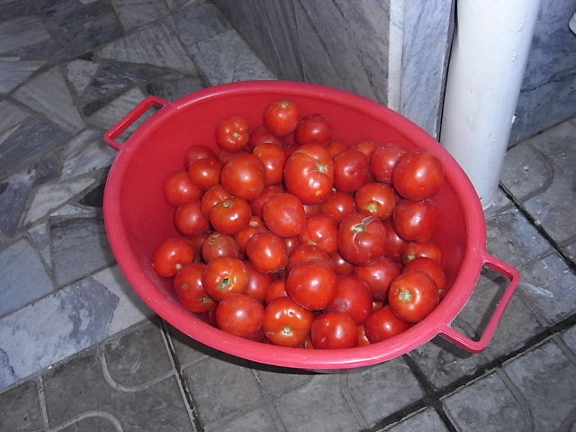 c0011649_13141627.jpg