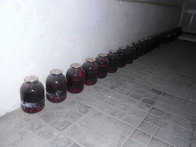 c0011649_134161.jpg