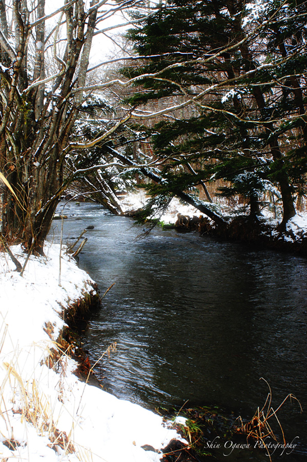 a Stream_c0191057_214294.jpg