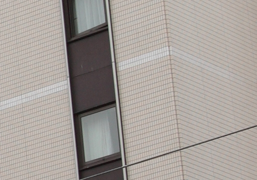 Canon EOS 5D MarkⅡ テスト_f0148962_0442164.jpg
