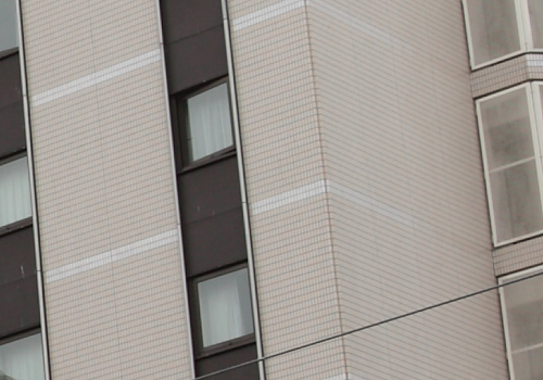 Canon EOS 5D MarkⅡ テスト_f0148962_0465862.jpg