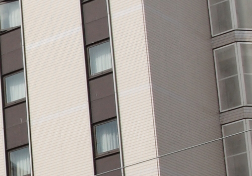 Canon EOS 5D MarkⅡ テスト_f0148962_055466.jpg