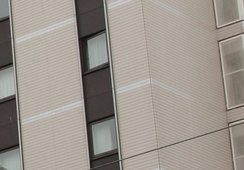 Canon EOS 5D MarkⅡ テスト_f0148962_1336342.jpg