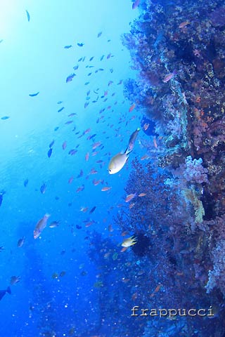 d0056263_1953413.jpg