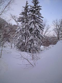 今日は札幌国際スキー場_c0151965_015356.jpg