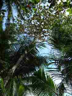 c0108673_035767.jpg