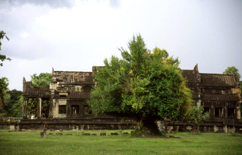 Angkor Wat その４　(カンボジア)_f0184282_22261827.jpg