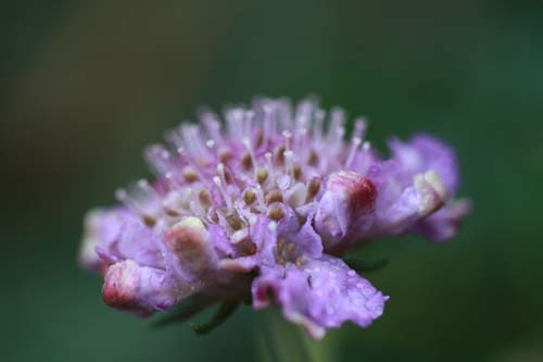 b0119190_23381111.jpg