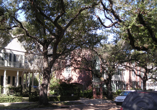 d0000995_8482084.jpg