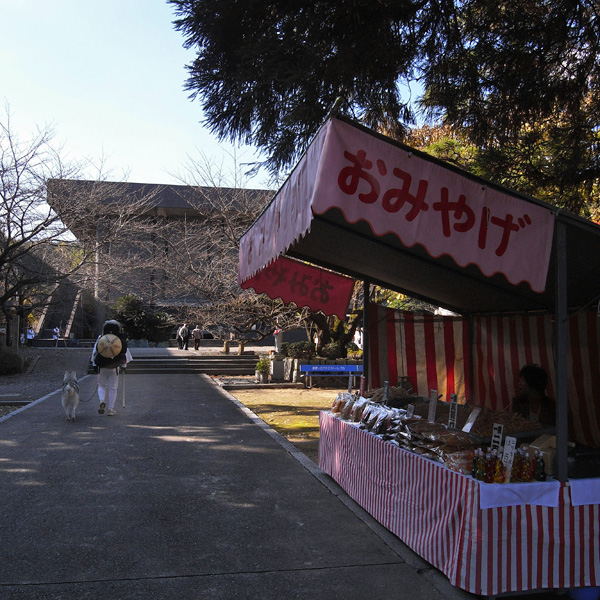 12月7日 おへんろ27日め♪ by GX100_c0049299_7542273.jpg