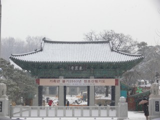 c0153302_23272736.jpg