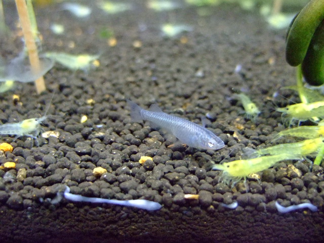 f0152308_21303348.jpg