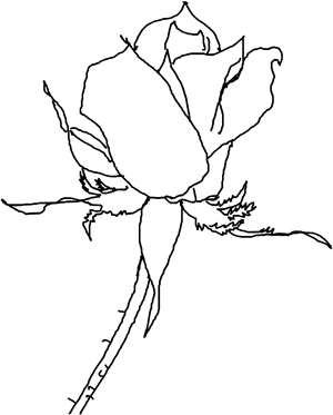 e0145324_9511671.gif