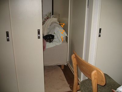 e0162524_7381651.jpg
