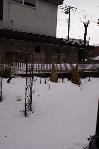 f0170524_11424315.jpg