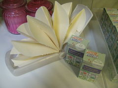 c0140230_985715.jpg