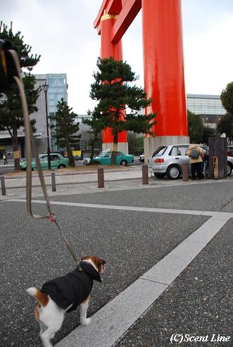 京都 最終日のこと その2_c0099133_23272519.jpg