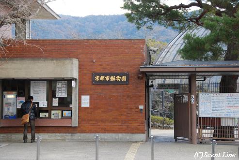 京都 最終日のこと その2_c0099133_23304266.jpg