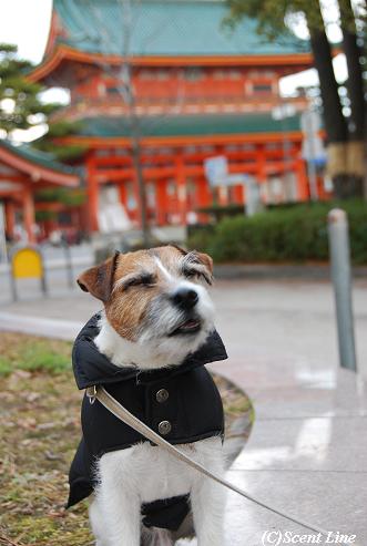 京都 最終日のこと その2_c0099133_23314031.jpg