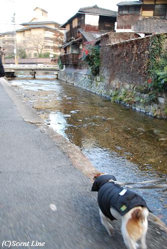 京都 最終日のこと その2_c0099133_23345329.jpg