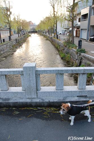 京都 最終日のこと その2_c0099133_2337237.jpg