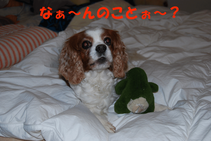 c0136838_013942.gif
