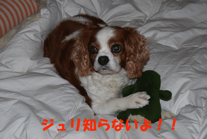 c0136838_016301.gif