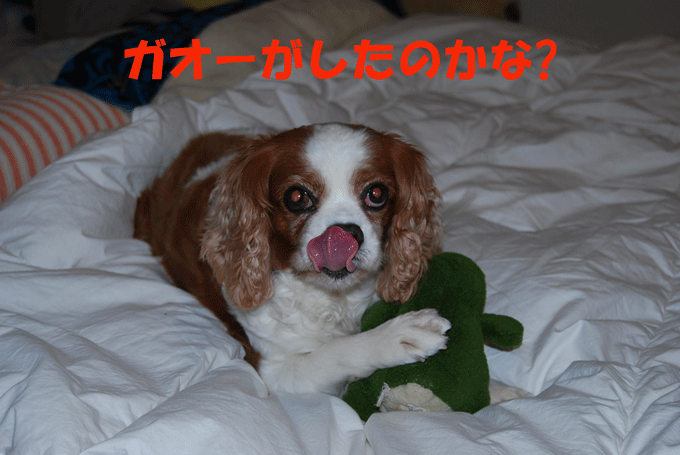 c0136838_0293063.gif