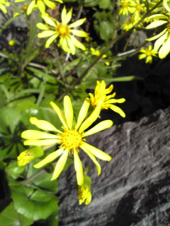 c0180841_8362344.jpg