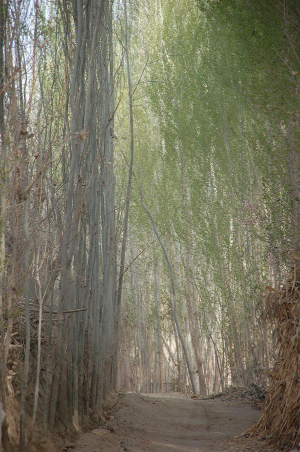 f0181746_88799.jpg