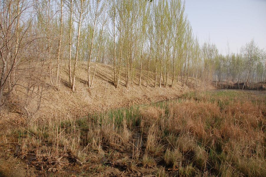 f0181746_89499.jpg