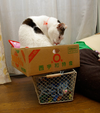 ほらほら、そんなところで・・・_a0028451_1335823.jpg