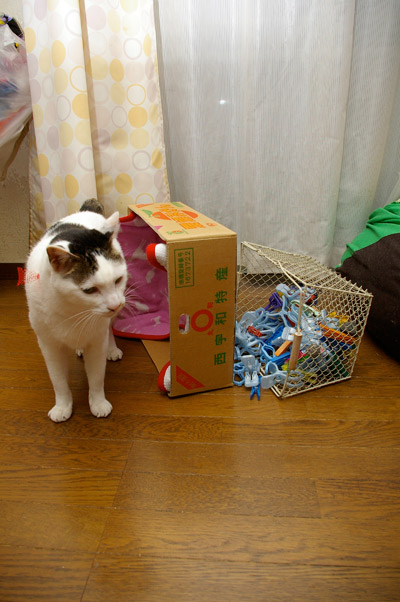ほらほら、そんなところで・・・_a0028451_1341650.jpg