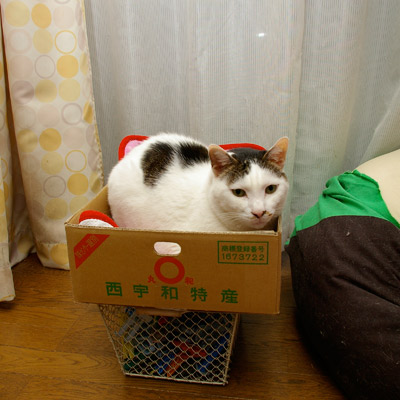 ほらほら、そんなところで・・・_a0028451_1342566.jpg