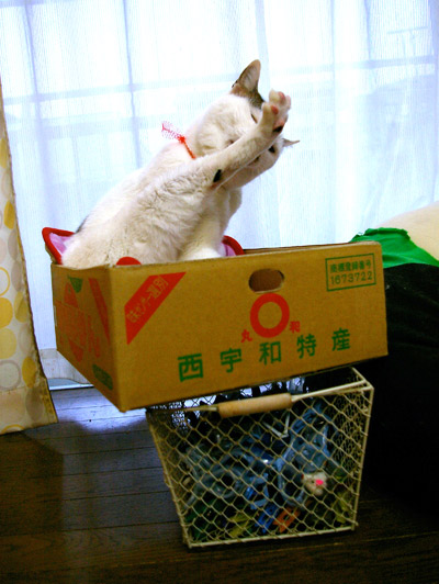 ほらほら、そんなところで・・・_a0028451_134822.jpg