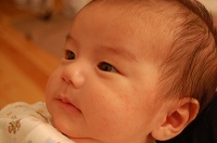 e0134052_8222769.jpg