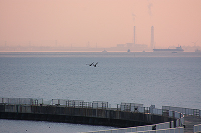 ◆TOKYO-BAYの落陽　Shooting on one winter day_b0008655_1730436.jpg