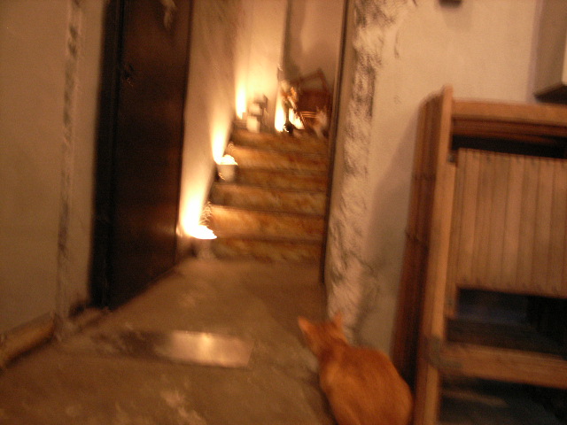 \"御神本とゆかいな仲間達\"ってこんなこと。_c0140560_19143452.jpg