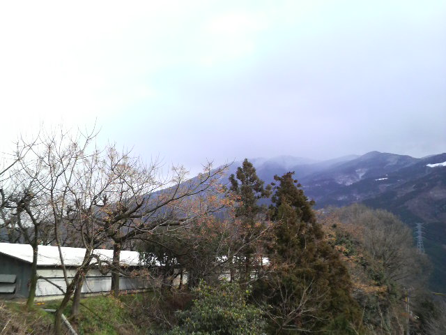 c0147261_21534878.jpg
