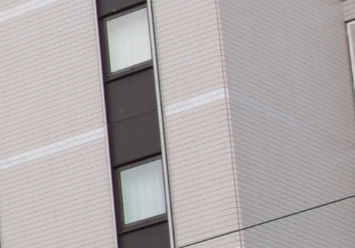 Canon EOS 5D MarkⅡ テスト_f0148962_17554932.jpg