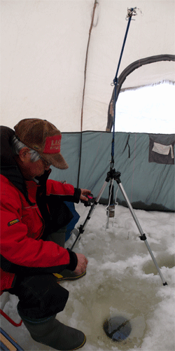 f0163063_15321288.gif