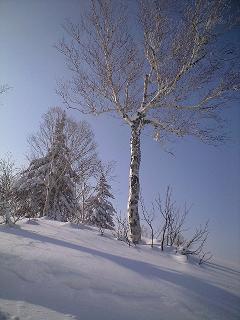 札幌国際スキー場_c0151965_14192986.jpg