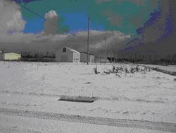 c0196074_20102515.jpg